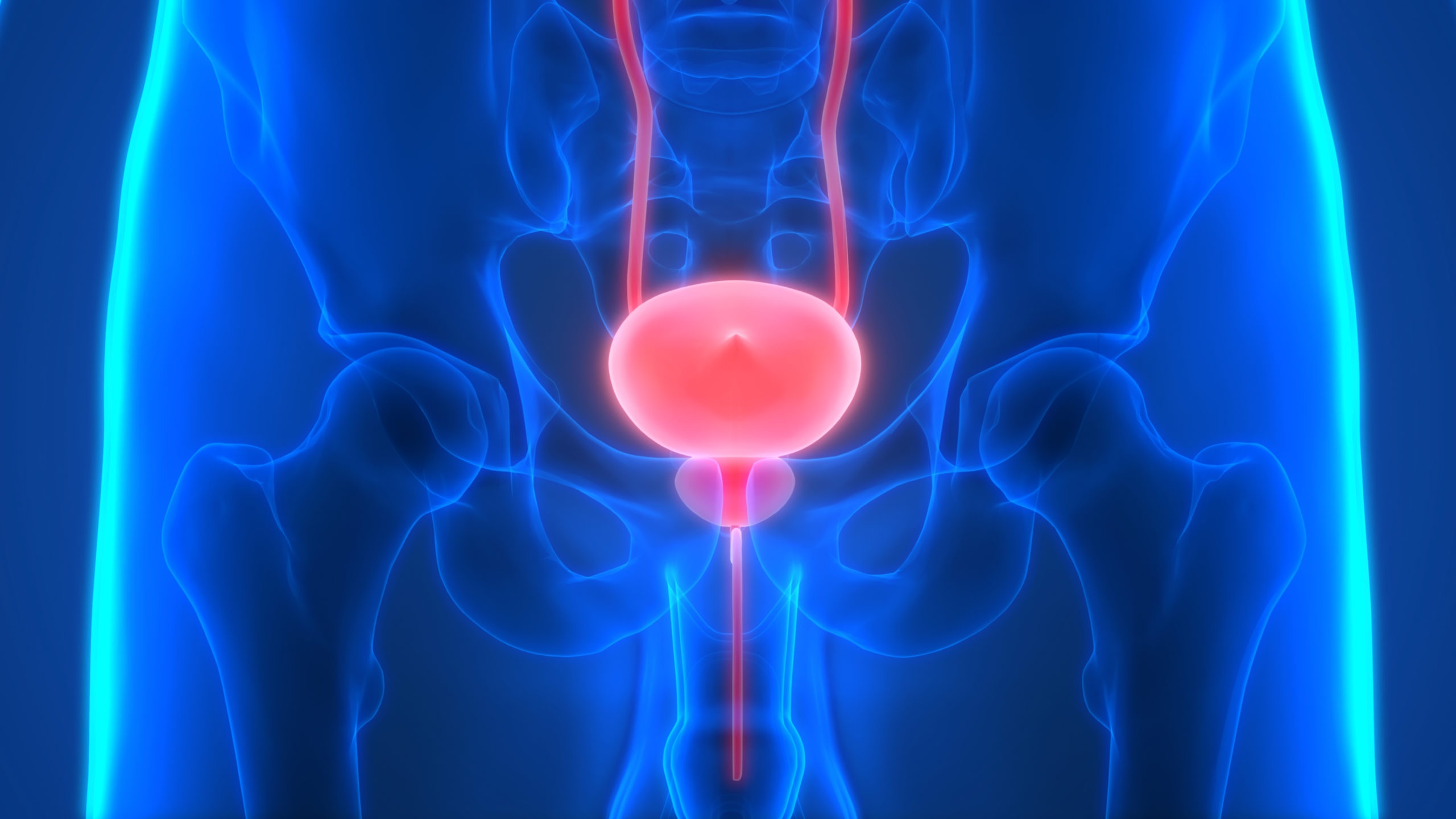 El 50% de varones presentará prostatitis en algún momento de su vida.